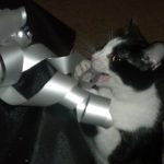 Cat | Direct Carpet Unlimited