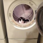 Birdie | Direct Carpet Unlimited