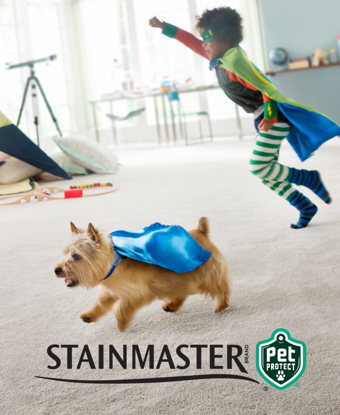 Stainmaster | Direct Carpet Unlimited