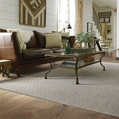 Living room flooring | Direct Carpet Unlimited