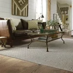 Rug | Direct Carpet Unlimited