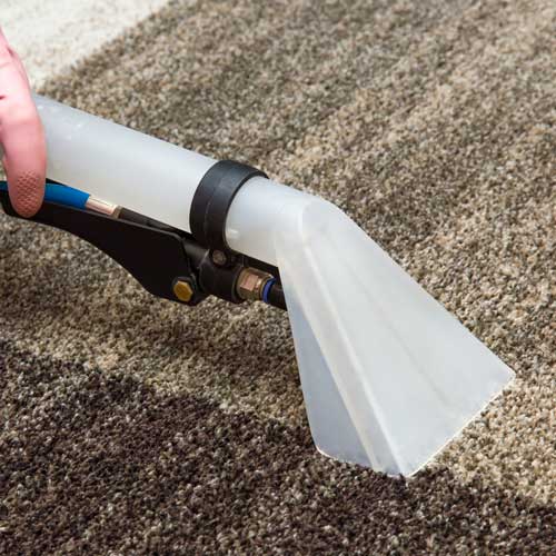 Carpet Cleaning | Direct Carpet Unlimited