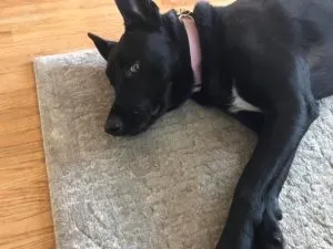 imgi_10_Artboard-Copy-7-300x225