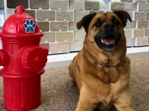 imgi_28_Artboard-Copy-5-1024x768