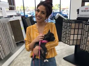 imgi_5_Artboard-Copy-2-300x225