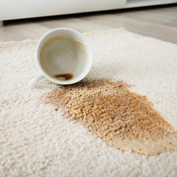 imgi_5_carpet_cleaning5_1600x1600-1_577x577